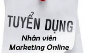 Tuyển dụng nhân viên Marketing Online tại Hà Nội (Facebook, Zalo, Email Marketing...)